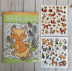 Adult Or Teen Coloring Book Adorable Animals 16 Single Sided Designs + Stickers