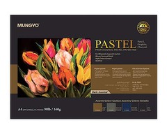 Premium Pastel Paper Pad 160 Gsm A3 A4 30 Sheets Assorted Colors Chartreuse