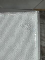 9 Stretched Canvases For Painting, 12×12 (2) And 8×10 (7)