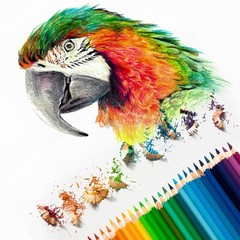 6Pcs, Watercolor Pencil for Coloring Drawing Painting Sky Blue
