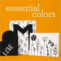 Acrylic Paint Set, Includes 2 x 16 fl oz White and Black Paint