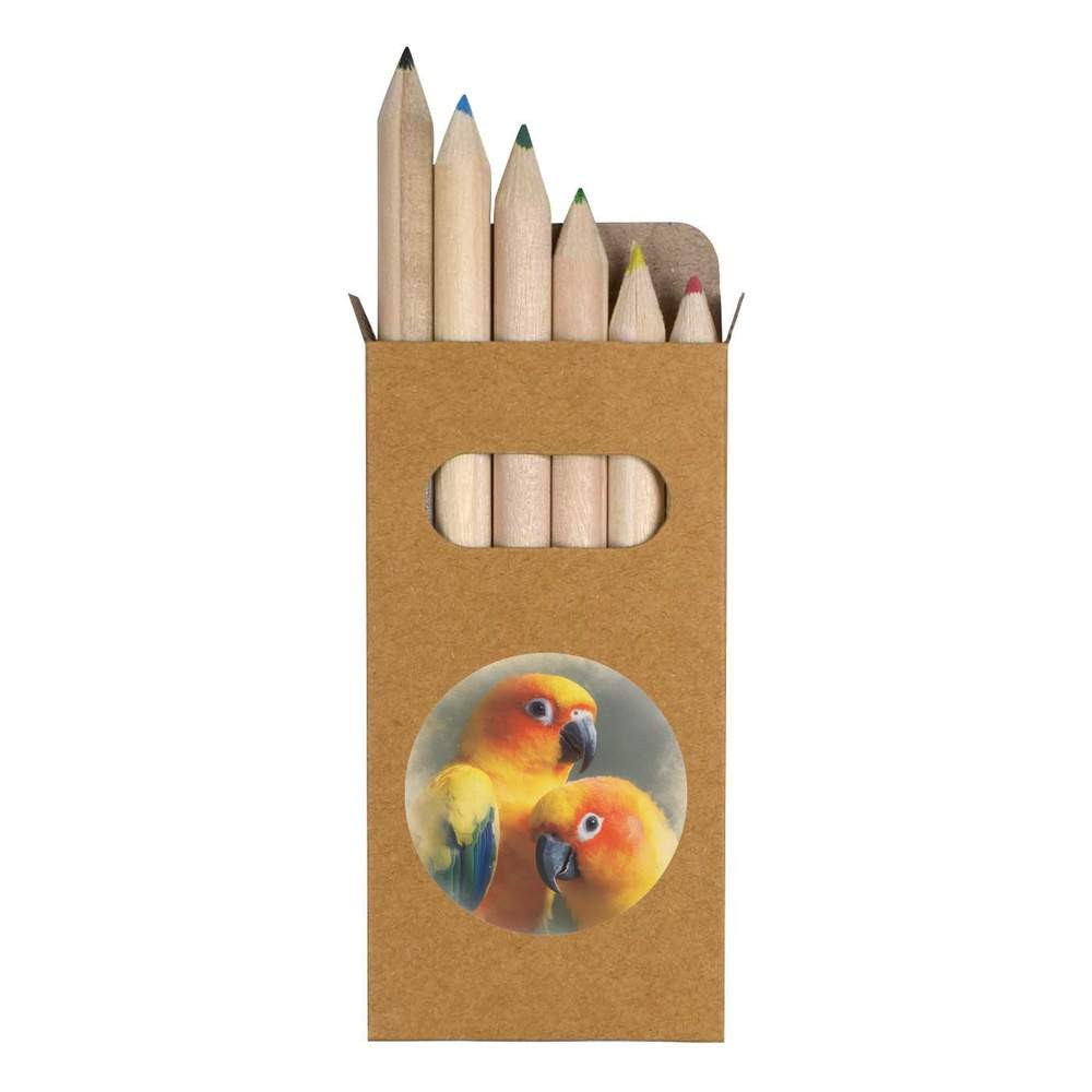 6 x ‘Sun Conure Parrot Couple’ Short Colour Pencils (PE00092094)