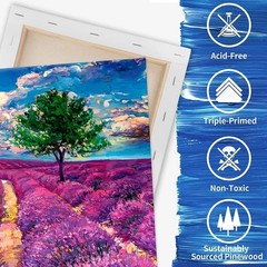 Pre-Primed Stretched Canvas Set 5×7 8×10 11×14 Primed Cotton Art Canvases 3-Pack
