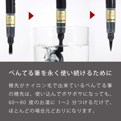Fude Brush Pen – Medium Point with Water-Soluble Black Ink, 2 Refill Cartridges