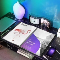 Sooez Heavy Duty Binder with Plastic Sleeves 18×24, Portfolio Folder with 30 …