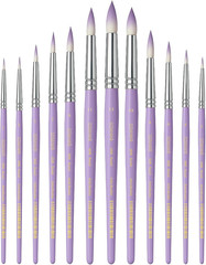 Professional Watercolor Paint Brush Set, 12 Pcs round Artist Paint Brushes