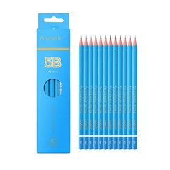 Sketch Pencils for Drawing 5B, 12pcs Professional Art Drawing Pencils for Sha…