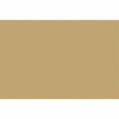 Tru-Ray Construction Paper (p103074)