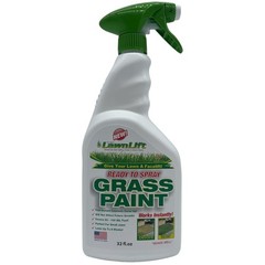 Green Grass Paint for Instant Lawn Makeover