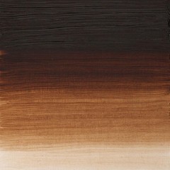 Winsor & Newton Artists’ Oil Color, 37ml 1.25 Fl Oz (Pack of 1), Burnt Umber
