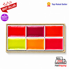 Japanese Gansai Watercolor Paint Set 6 Pearl Accent Colors Artist Painting Art