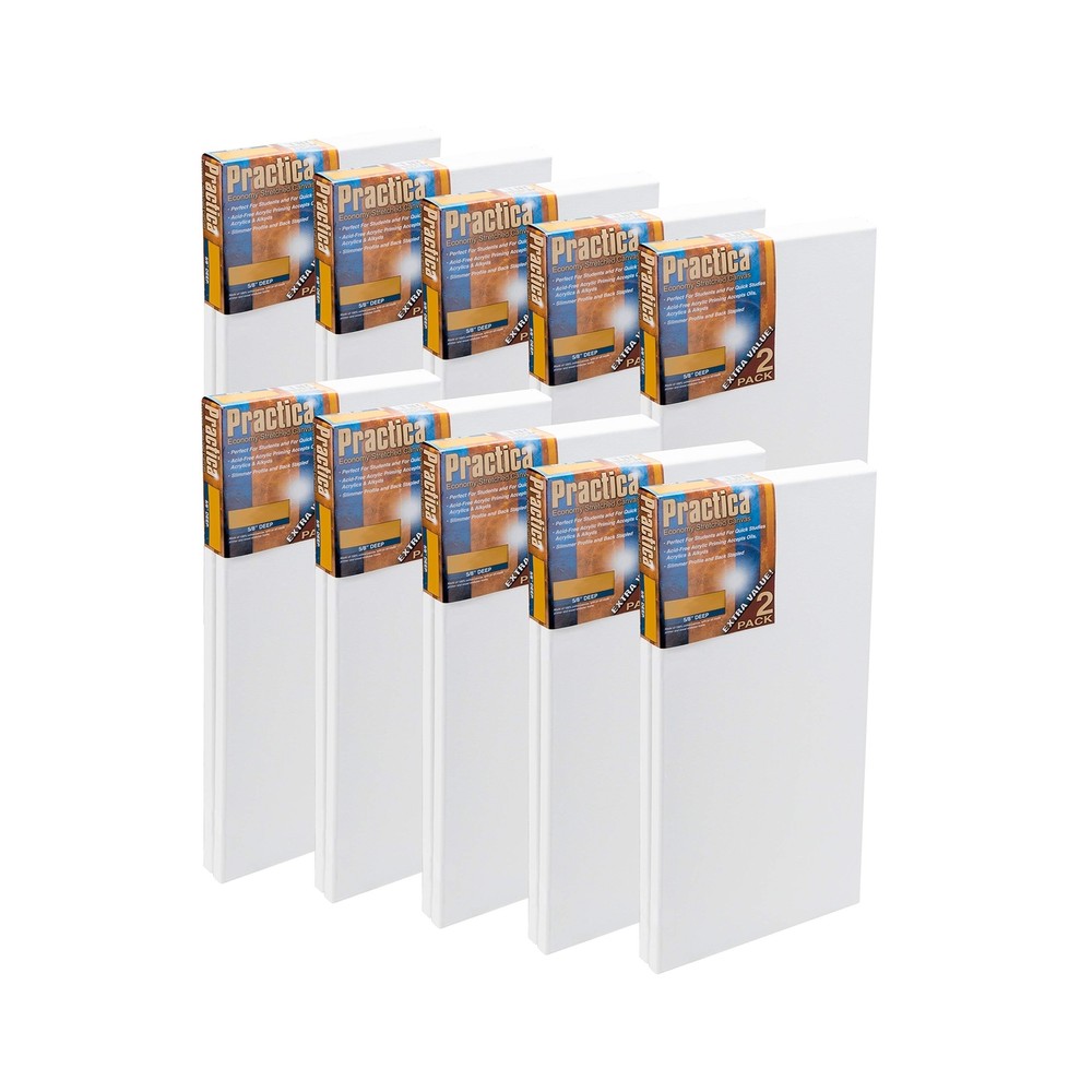 Practica Economy Stretched Cotton Canvas 20-Pack, 12×24″ – Acid-Free Acrylic …