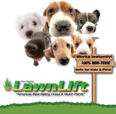 Green Grass Paint for Instant Lawn Makeover