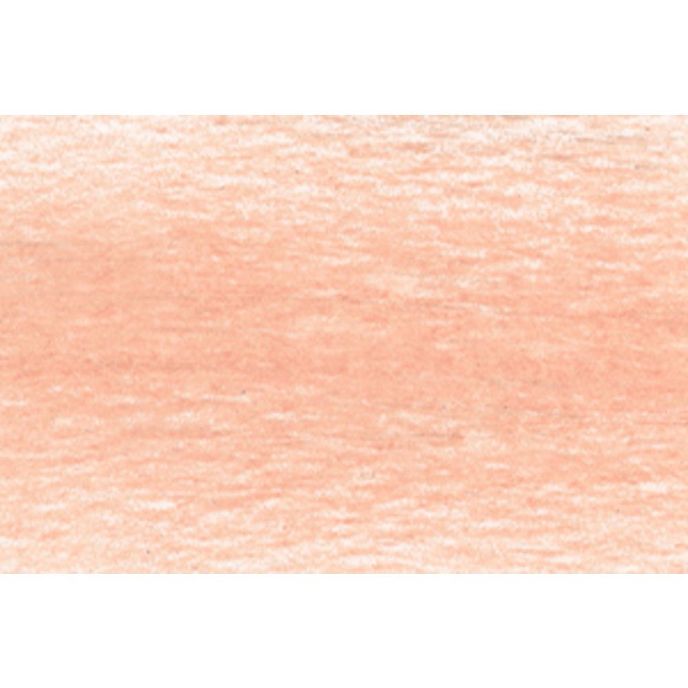 Derwent Drawing Pencils, Professional Artist Natural Tones, Assorted Colours