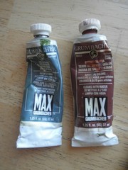 Winsor & Newton Grumbacher Oil (16) and Water Color (13) Paint Lot