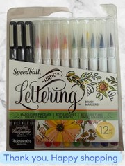 12 PCS HandLettering Brush Marker Set Art Painting Drawing Calligraphy Pen NEW