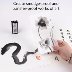 Bokuju Liquid Ink – 2oz Sumi Ink for Calligraphy and Artwork – Black Drawing …