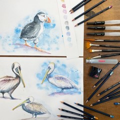 Colored Pencils, WaterColour, Water Color Pencils, Drawing, Art, Metal Tin, 2…