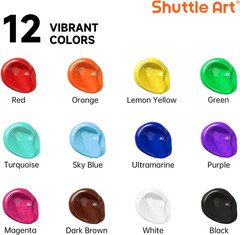 12 Colors Acrylic Paint, 250Ml/8.45Oz Bottles Acrylic Paint Set