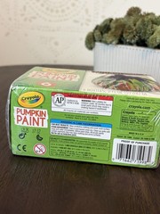 Crayola Pumpkin Paint Set And Other Surfaces in Autumn Colors