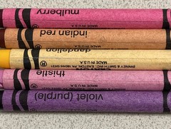 5 Discontinued Crayola Crayons OOP Thistle Indian Red Violet Mulberry Dandelion