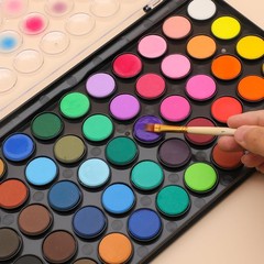 Watercolor Paint Set 48 Colors for Illustrations and Calligraphy with Brushes