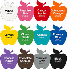 Essentials Acrylic Paint Set, 12, 24 Fl Oz (Pack of 1)
