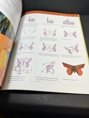 Origami Butterflies by Michael LaFosse – Ppaer Art Instruction How-To Book & DVD