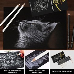 12 PCS Black White Colored Sketching Pencil Drawing Shading Blending Art Tool