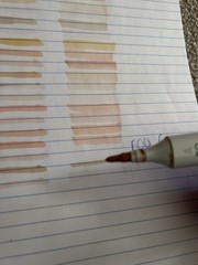 20 Copic Market Shades Of Nude Tan Peach Neutral Blender Gently Used READ
