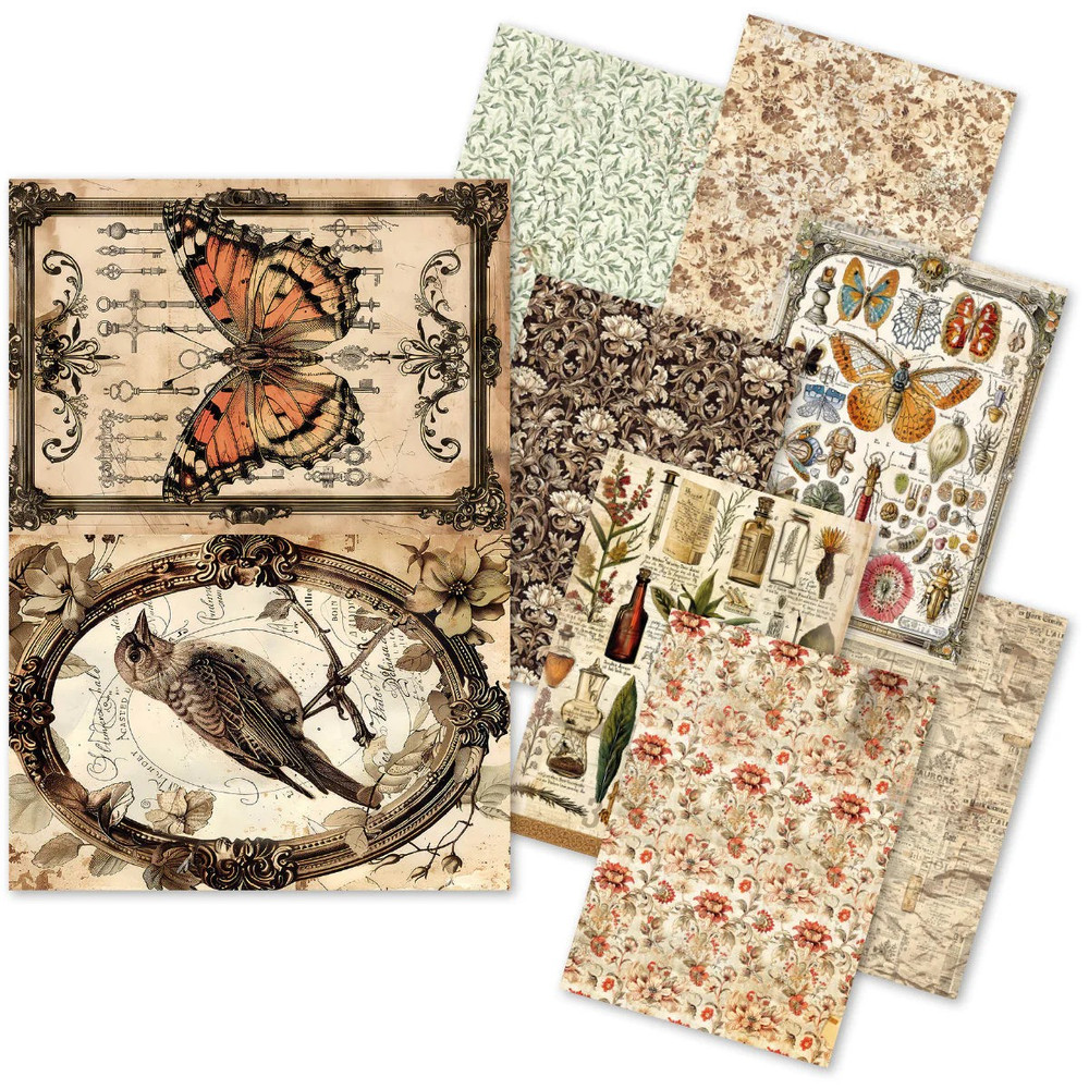 Ciao Bella A5 Rice Papers 8pc – Cabinet of Curiosities – Mixed, CBRS003