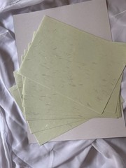 A4 Japanese Echizen Washi Paper 10 Sheets–Soft Sage Green Decorative Craft Paper