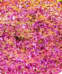 ULTRASHIFT CHAMELEON FLAKE – ARIES