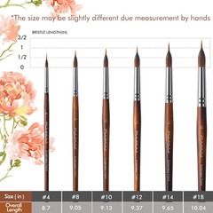 Watercolor Brushes Professional, 6Pcs Extended Needle Point Brushes Synthetic E