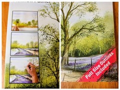 Watercolor Art Bundle:Grabie 50 Paint Set, Floral Workbook & Matthew Palmer Book