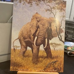 173 How to Paint Wildlife Portraits McLaughlin Walter Foster Instruction Book
