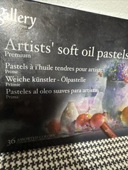 Gallery Soft Oil Pastel for Artist Premium 36 Colors Drawing MOPV36