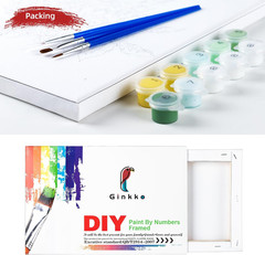 Framed Paint by Numbers Kit for Beginner & Kids Ages 8-12, without Easel, Easy