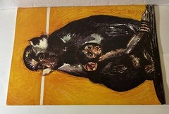 Vintage Art Book “ How To Draw Animals “ By Walter Foster “ 13.5 X 10.25”