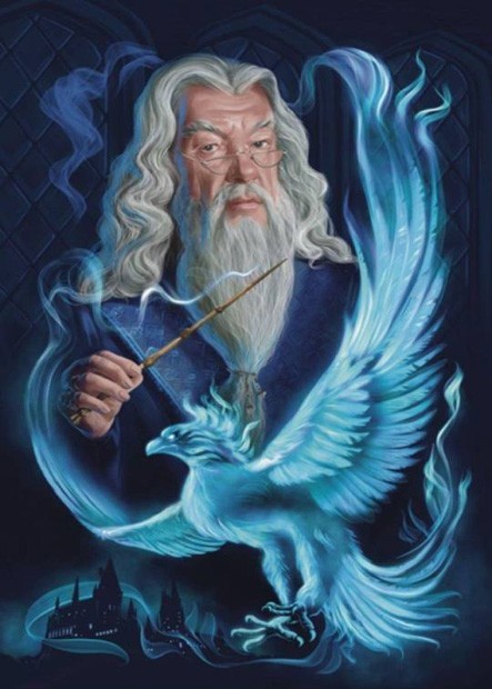 Dumbledore DIY Full Round Drill 30x40cm Diamond Painting