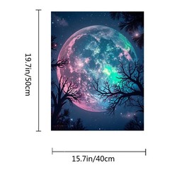 Moon Paint by Numbers Kit for Adults Beginner 16 x 20 inches,