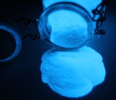 Glow in the Dark Pigment powder Statues Masks Costume Decor Nail