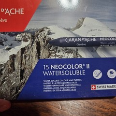 Caran d’Ache Neocolor II Water-soluble Wax Pastels 15 Colors Swiss Made