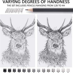 Versatile 14-Piece Graphite Drawing Pencil Collection – Perfect for Beginners