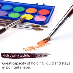 Sable Watercolor Brushes, 9pcs Detail to Mop Sable Brushes Round Pointed