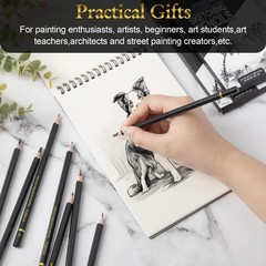 Humyoun 144 Pcs Drawing Sketching Pencil Set Professional (12b – 4h) Graphite…