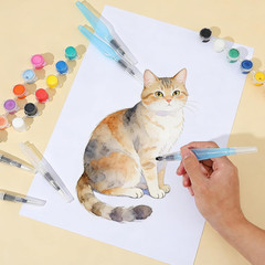 6 Pcs Watercolor Water Brush, Water Brush Pens Refillable Paint Pens for Waterco