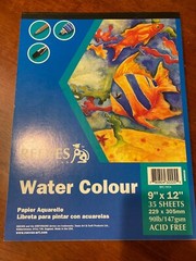 Reeves Water Colour & Beinfang Bristol Board Paper Bundle