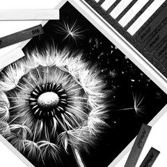 12 PCS Soft Pastels 6 White And 6 Black Square Chalk Drawing Blending Shading