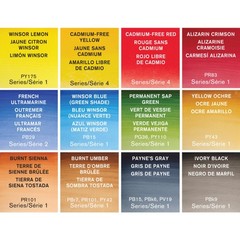 Watercolor Paint Set 12 Half Pan Professional Compact Winsor Newton Accessories